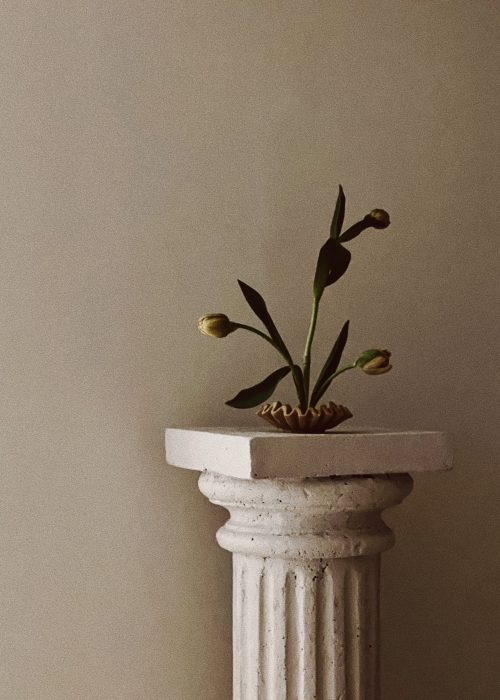 Processed with VSCO with 10 preset
